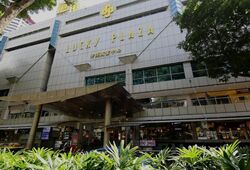 Lucky Plaza (D9), Shop House #578541281